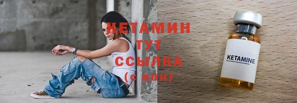 амф Гусь-Хрустальный