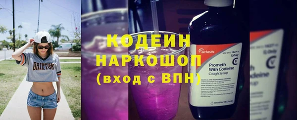 2c-b Гусев