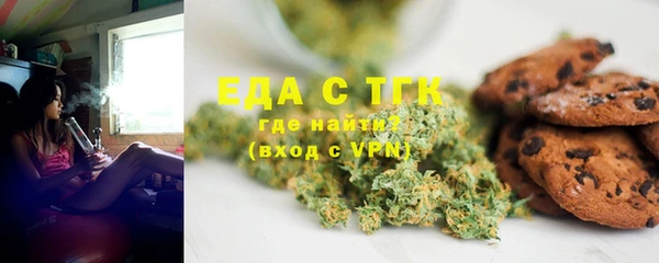 амф Гусь-Хрустальный