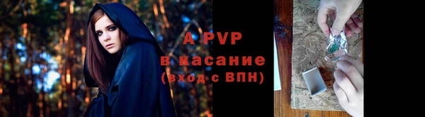 амф Гусь-Хрустальный