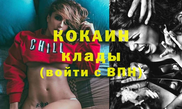 амф Гусь-Хрустальный