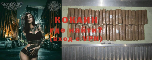 амф Гусь-Хрустальный
