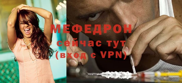 амф Гусь-Хрустальный