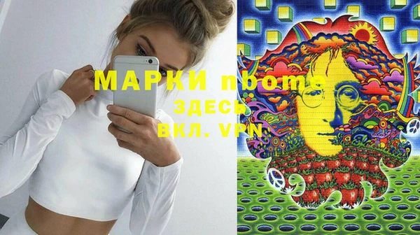амф Гусь-Хрустальный